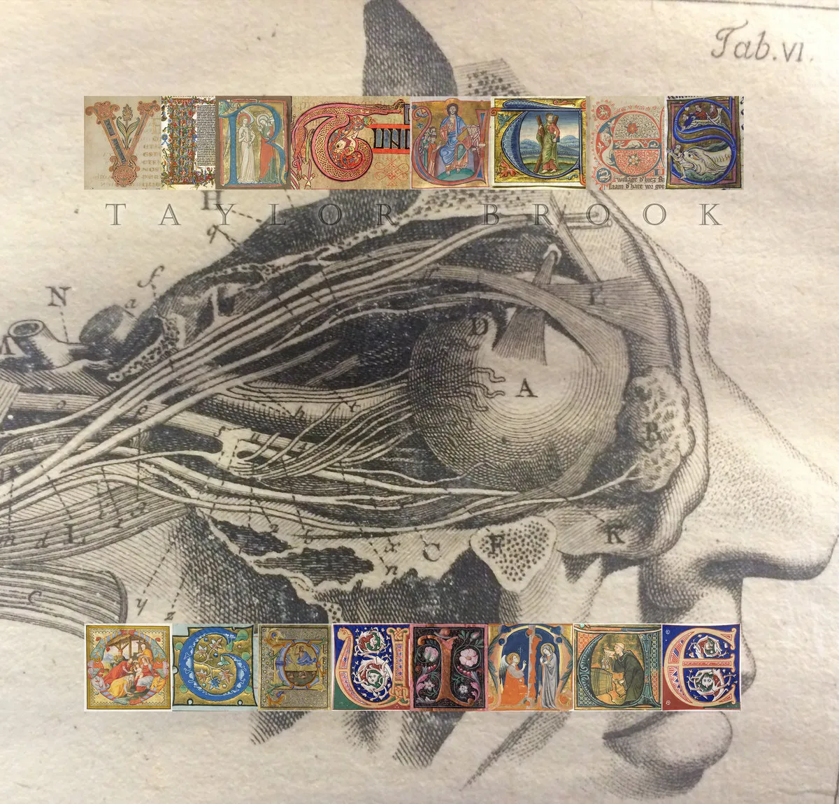 Virtutes Occultae